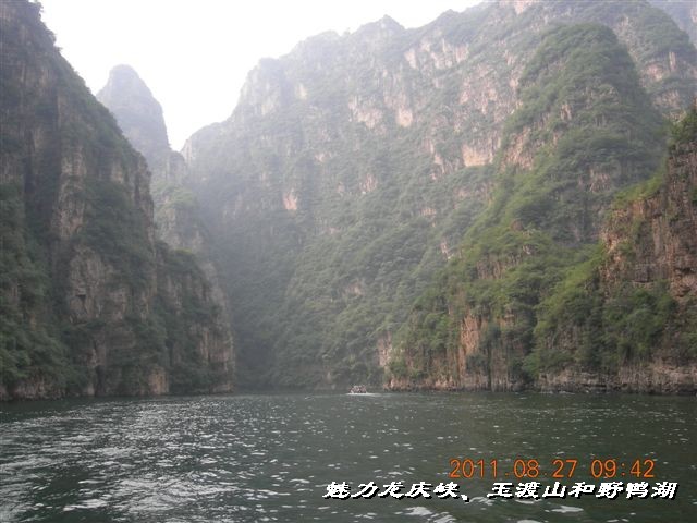 BigBull_DSCN0101.JPG