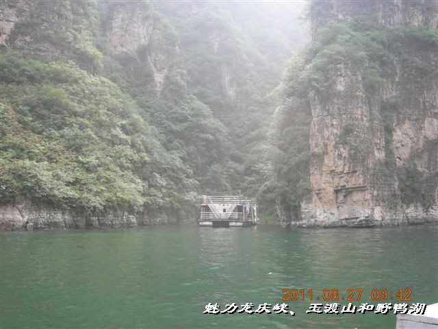 BigBull_DSCN0102.JPG