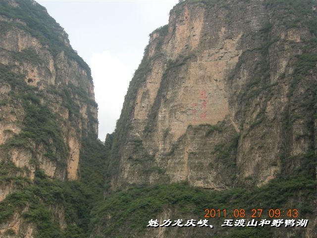 BigBull_DSCN0103.JPG