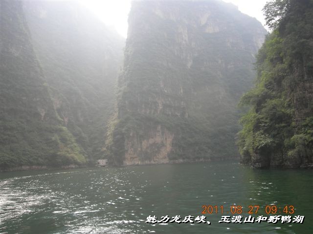 BigBull_DSCN0104.JPG