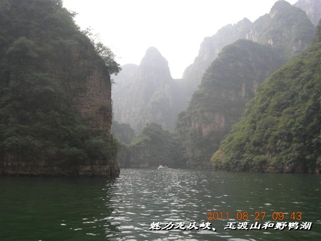 BigBull_DSCN0105.JPG