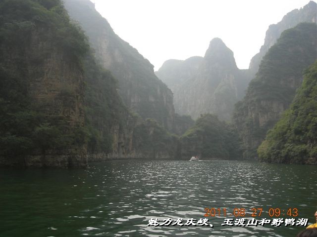 BigBull_DSCN0106.JPG