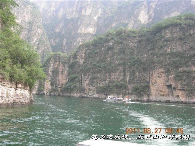 BigBull_DSCN0107.JPG