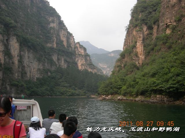 BigBull_DSCN0109.JPG