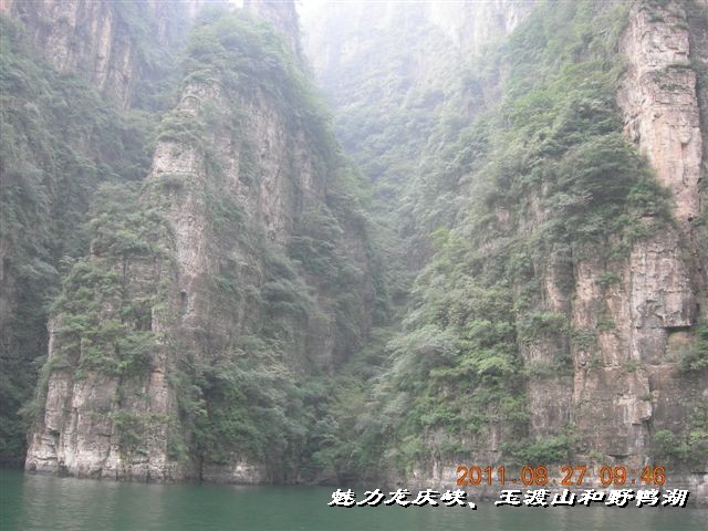 BigBull_DSCN0111.JPG