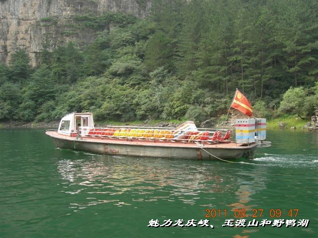 BigBull_DSCN0113.JPG