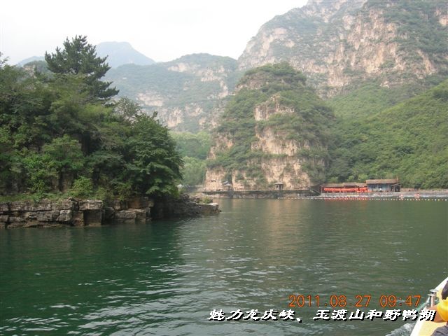 BigBull_DSCN0114.JPG