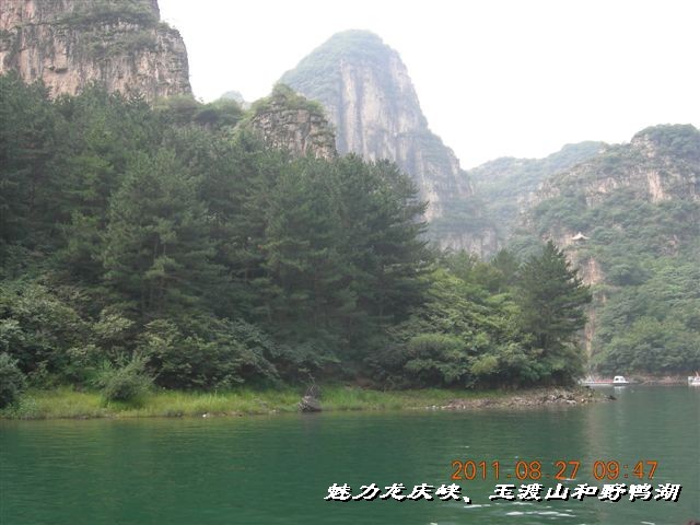 BigBull_DSCN0116.JPG