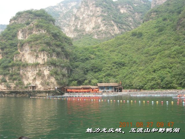 BigBull_DSCN0117.JPG