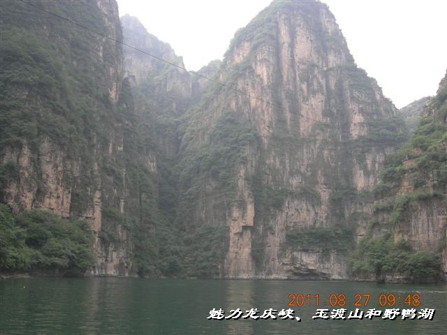 BigBull_DSCN0119.JPG