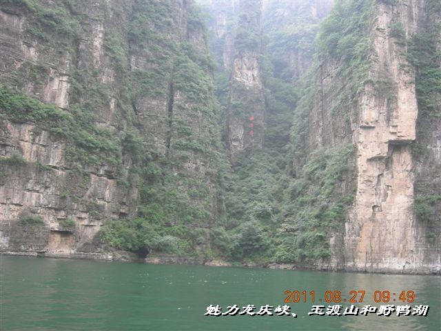 BigBull_DSCN0120.JPG