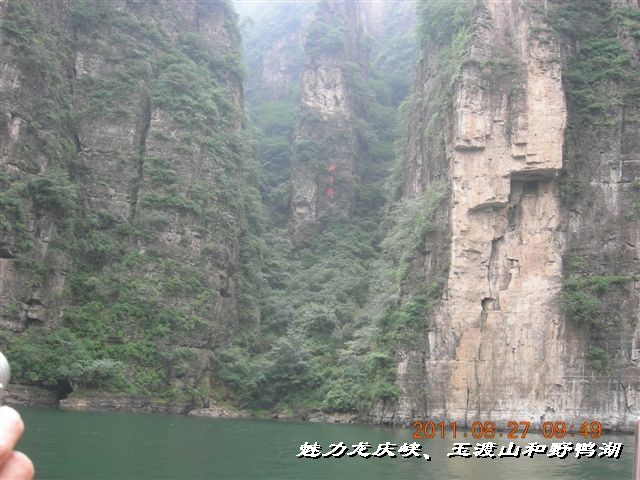 BigBull_DSCN0121.JPG