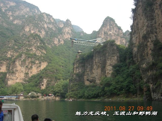 BigBull_DSCN0125.JPG