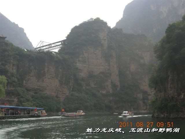 BigBull_DSCN0128.JPG