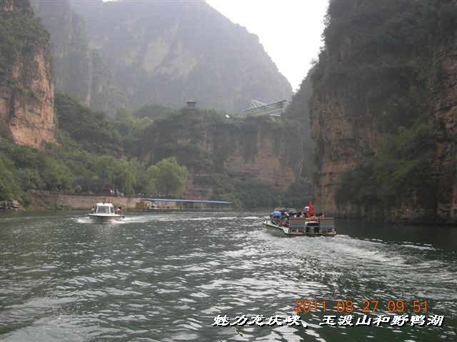 BigBull_DSCN0129.JPG