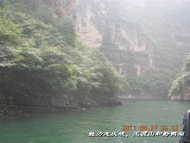 BigBull_DSCN0131.JPG