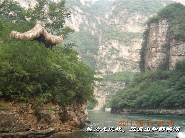 BigBull_DSCN0134.JPG