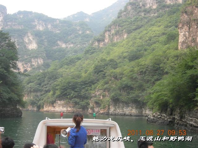 BigBull_DSCN0135.JPG