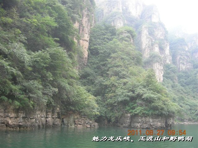 BigBull_DSCN0137.JPG