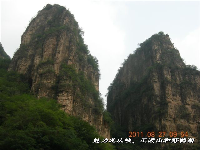 BigBull_DSCN0138.JPG