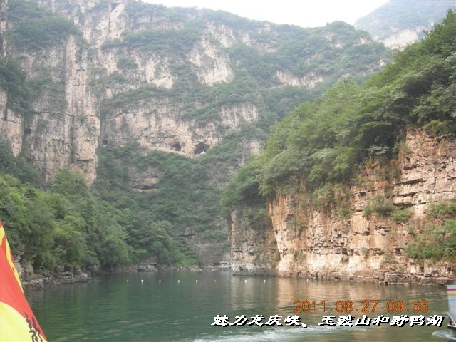 BigBull_DSCN0139.JPG