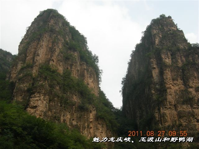 BigBull_DSCN0140.JPG