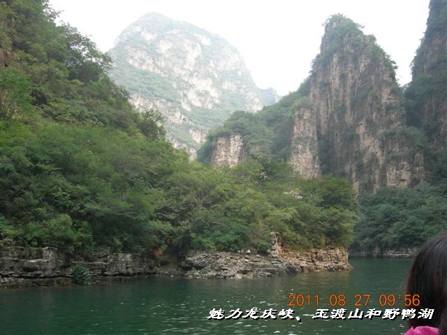 BigBull_DSCN0144.JPG
