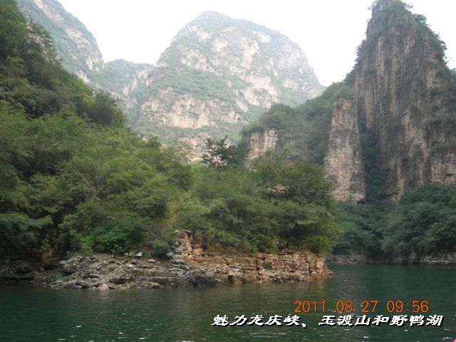 BigBull_DSCN0145.JPG