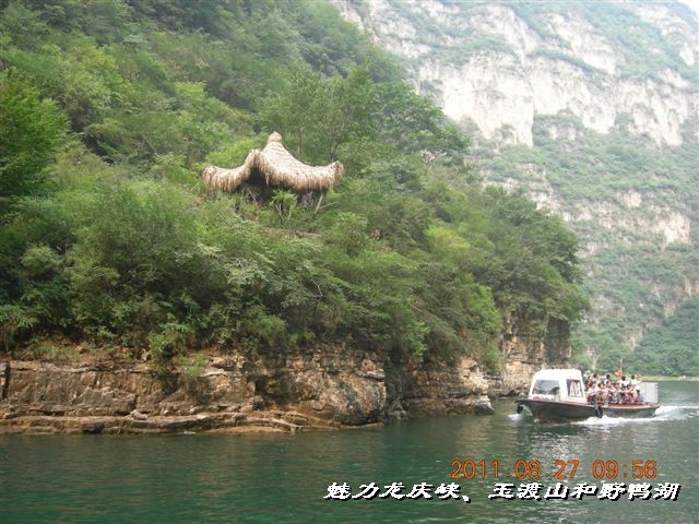 BigBull_DSCN0146.JPG