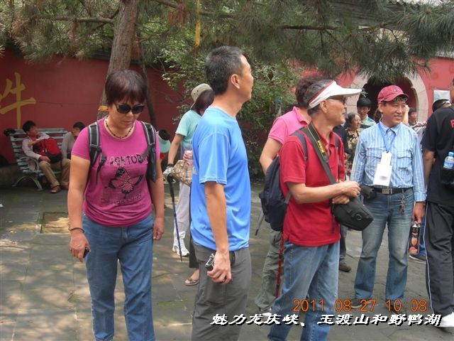 BigBull_DSCN0162.JPG