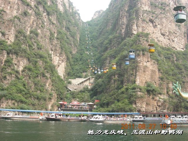 BigBull_DSCN0174.JPG