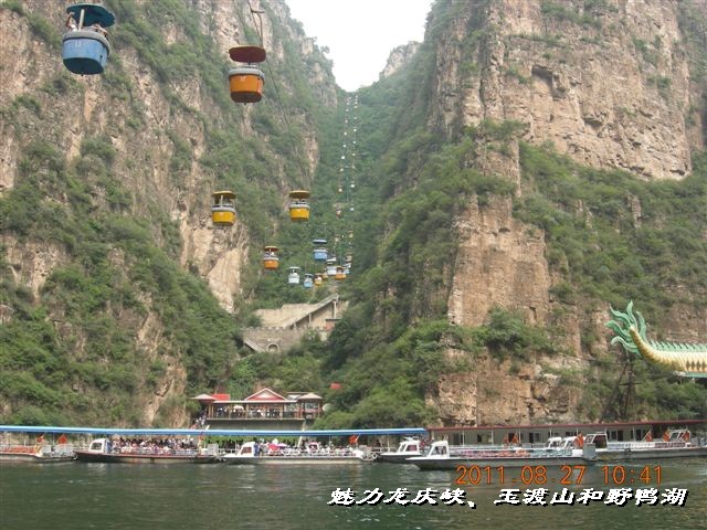 BigBull_DSCN0177.JPG