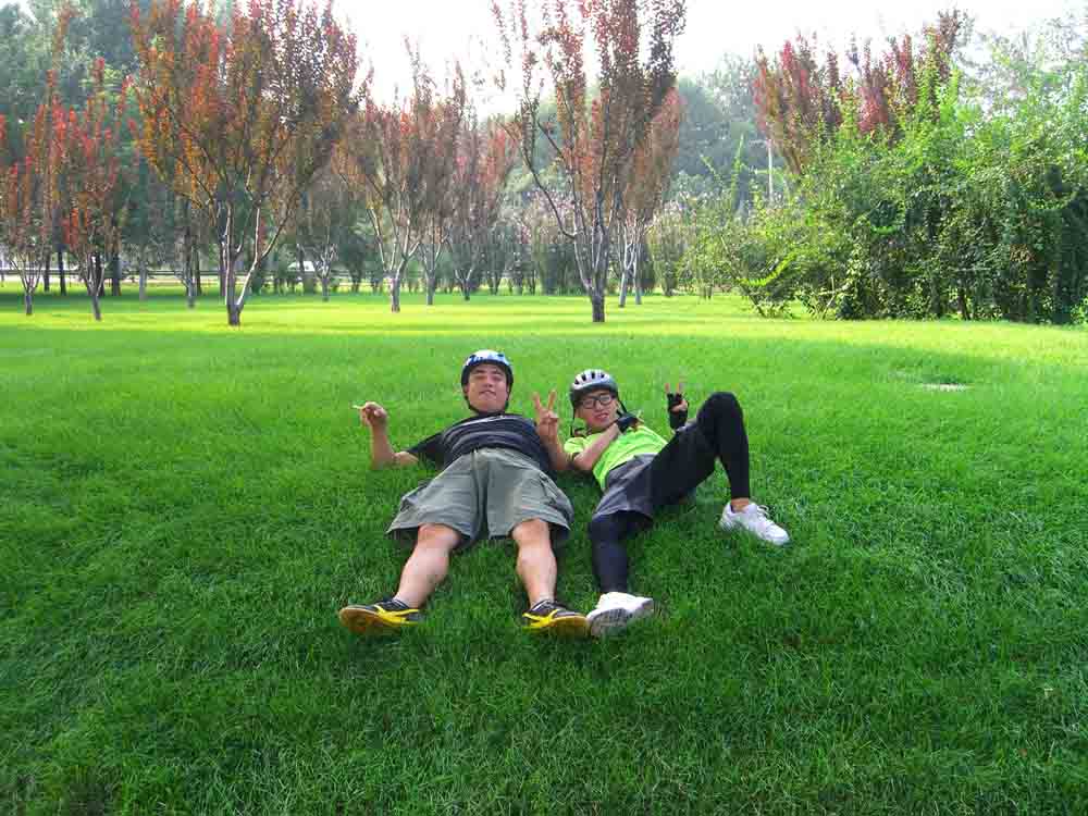 立交桥下面，没有践踏草坪