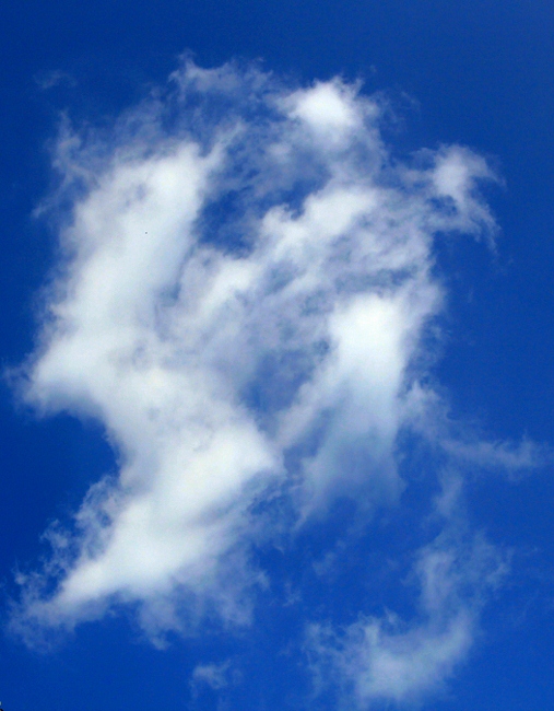 2233367qk17rm5kxo56a22 (507x650).jpg