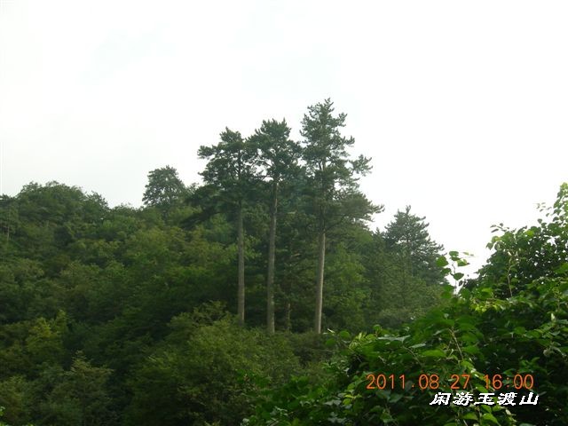 BigBull_DSCN0072 (2).JPG