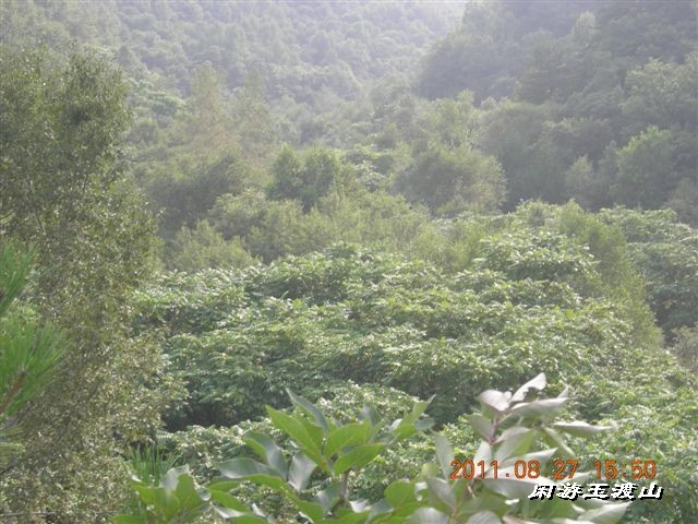 BigBull_DSCN0054 (2).JPG