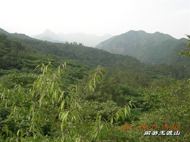 BigBull_DSCN0056 (2).JPG