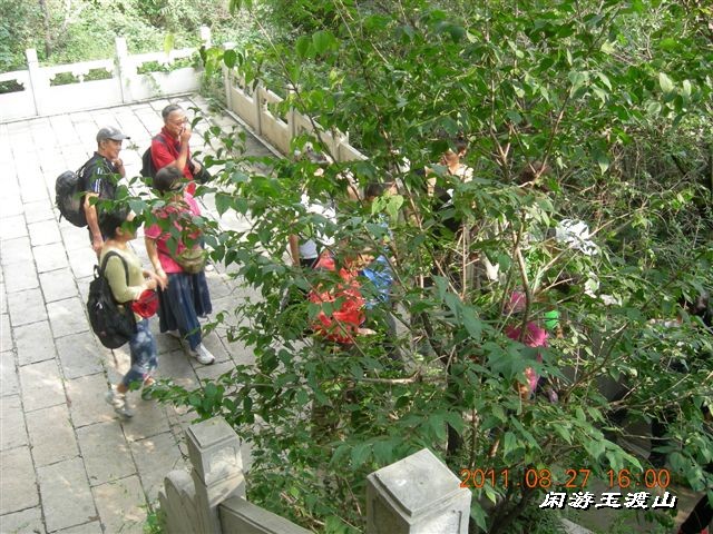 BigBull_DSCN0071 (2).JPG