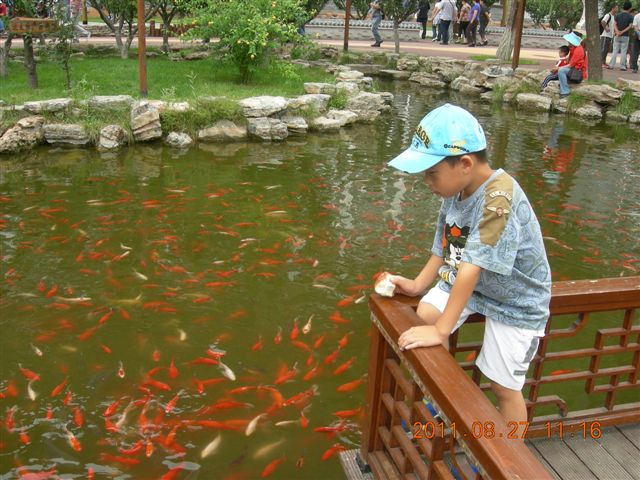 DSCN0002.JPG