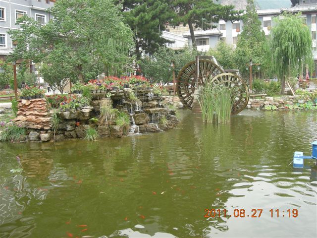 DSCN0006.JPG