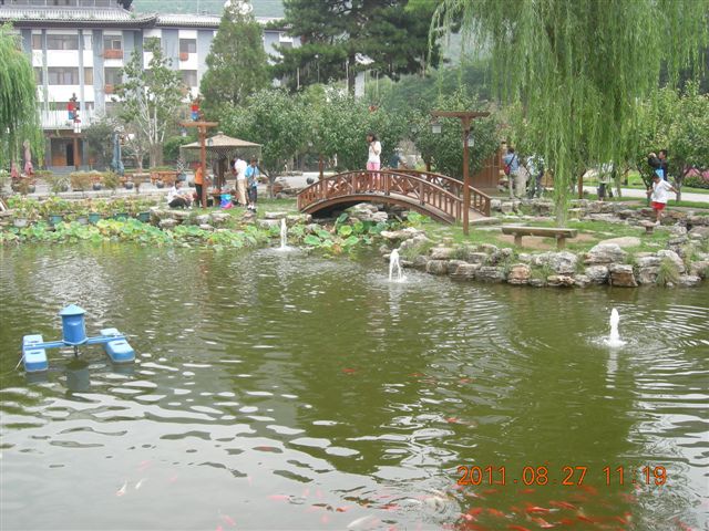 DSCN0007.JPG