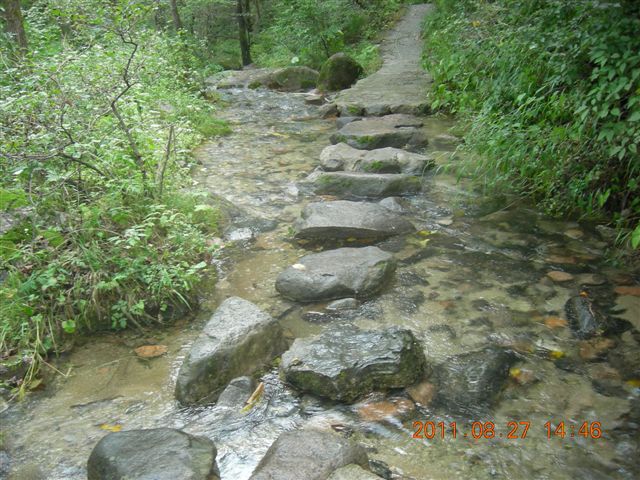 DSCN0035.JPG