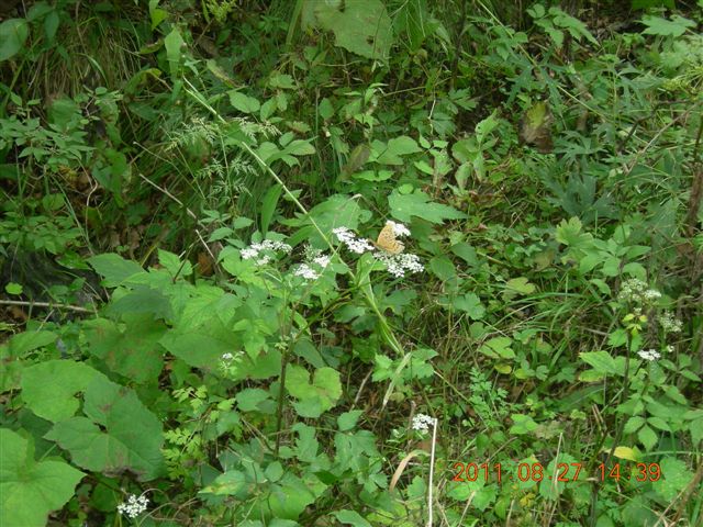 DSCN0024.JPG