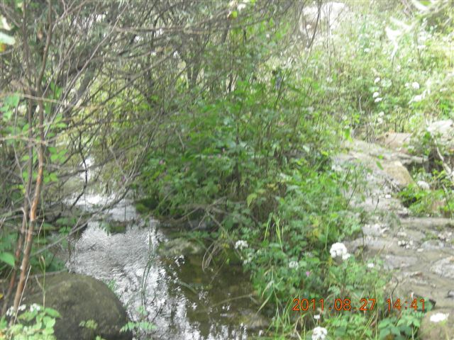 DSCN0026.JPG