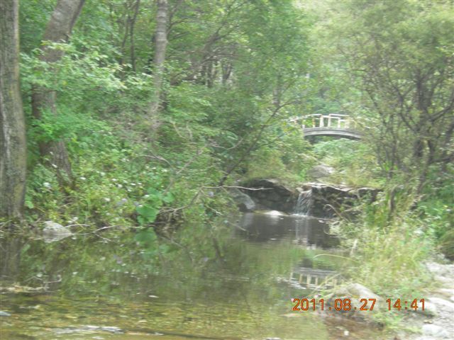 DSCN0027.JPG
