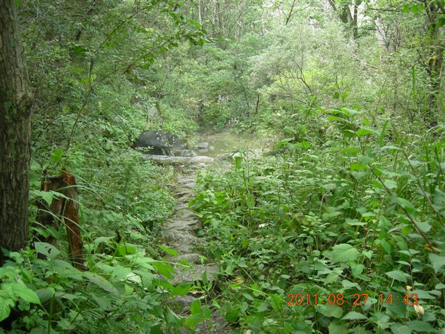 DSCN0030.JPG