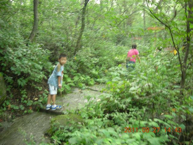 DSCN0031.JPG