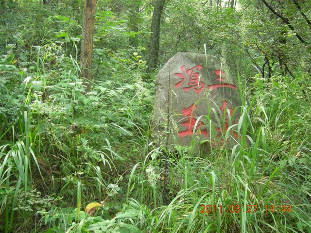 DSCN0032.JPG