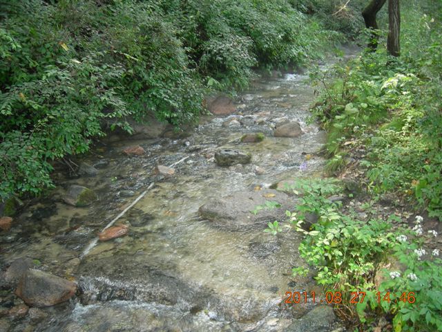 DSCN0034.JPG