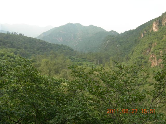 DSCN0060 (2).JPG